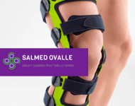 Salmed Ovalle